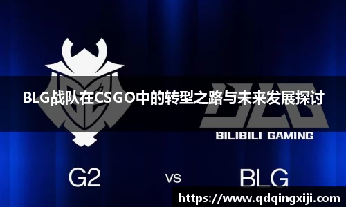 BLG战队在CSGO中的转型之路与未来发展探讨